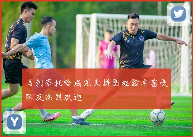 马刺签托哈成完美拼图经验丰富受队友热烈欢迎